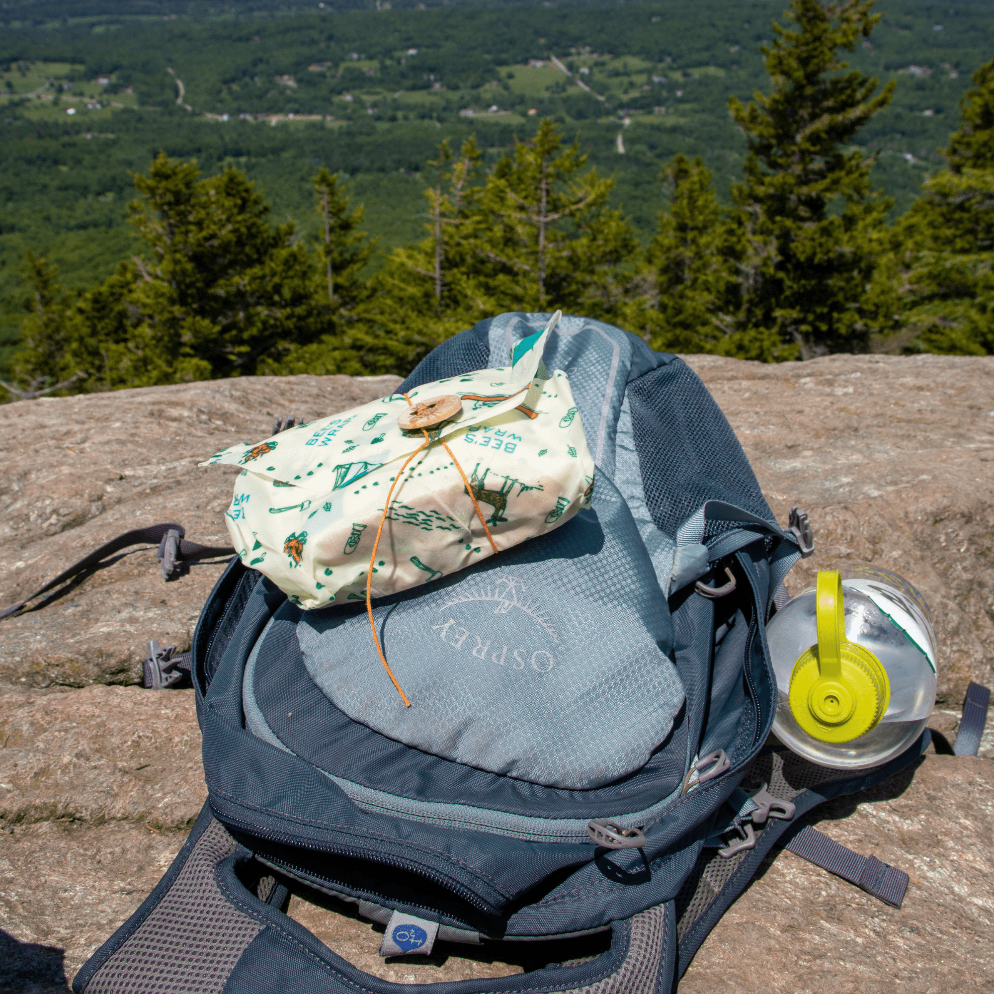 The Lunch Pack